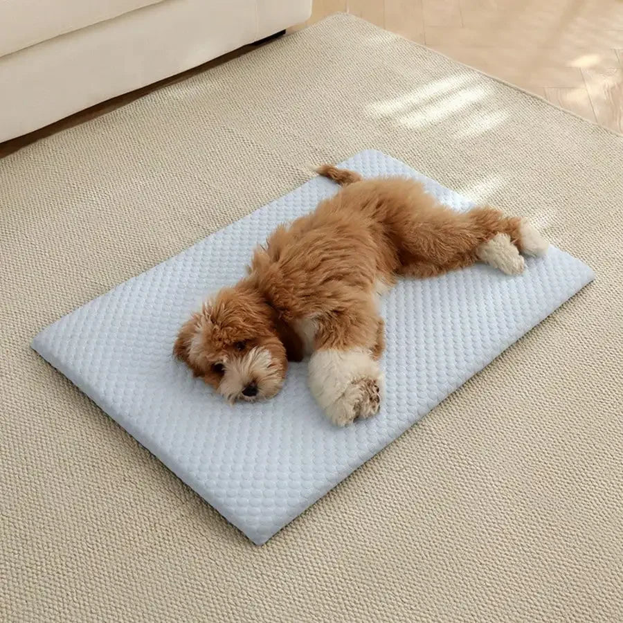 1pc Sponge Cooling Cat Bed, Thick Padding Comfortable Cool Breathable Cat Nest, Non-Slip And Washable Cooling Small Dog Bed, Suitable For All Seasons