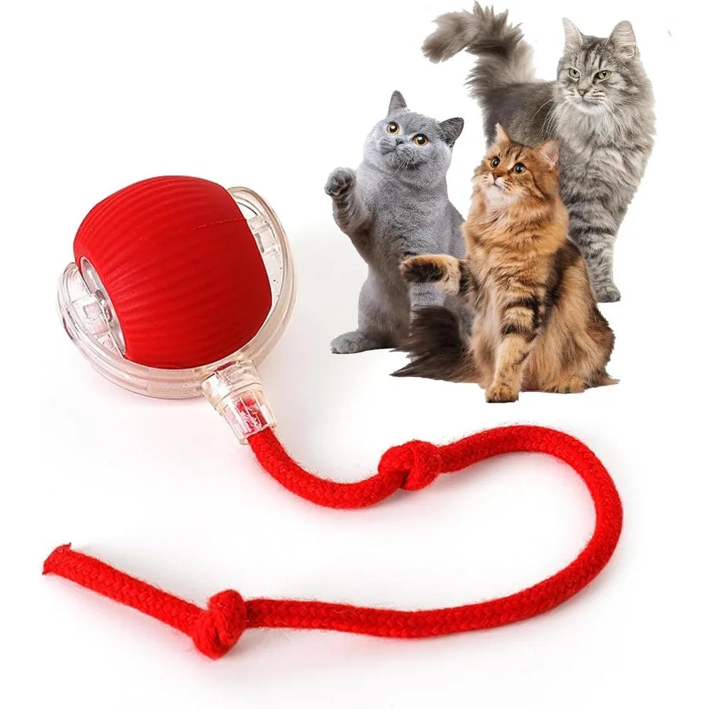 Pet Toy Ball with Tail Rope,Smart Automatic Pet Chase Ball Toy, Upgraded Speedy Tail Kitten Toy for Bored Indoor Adult Pets