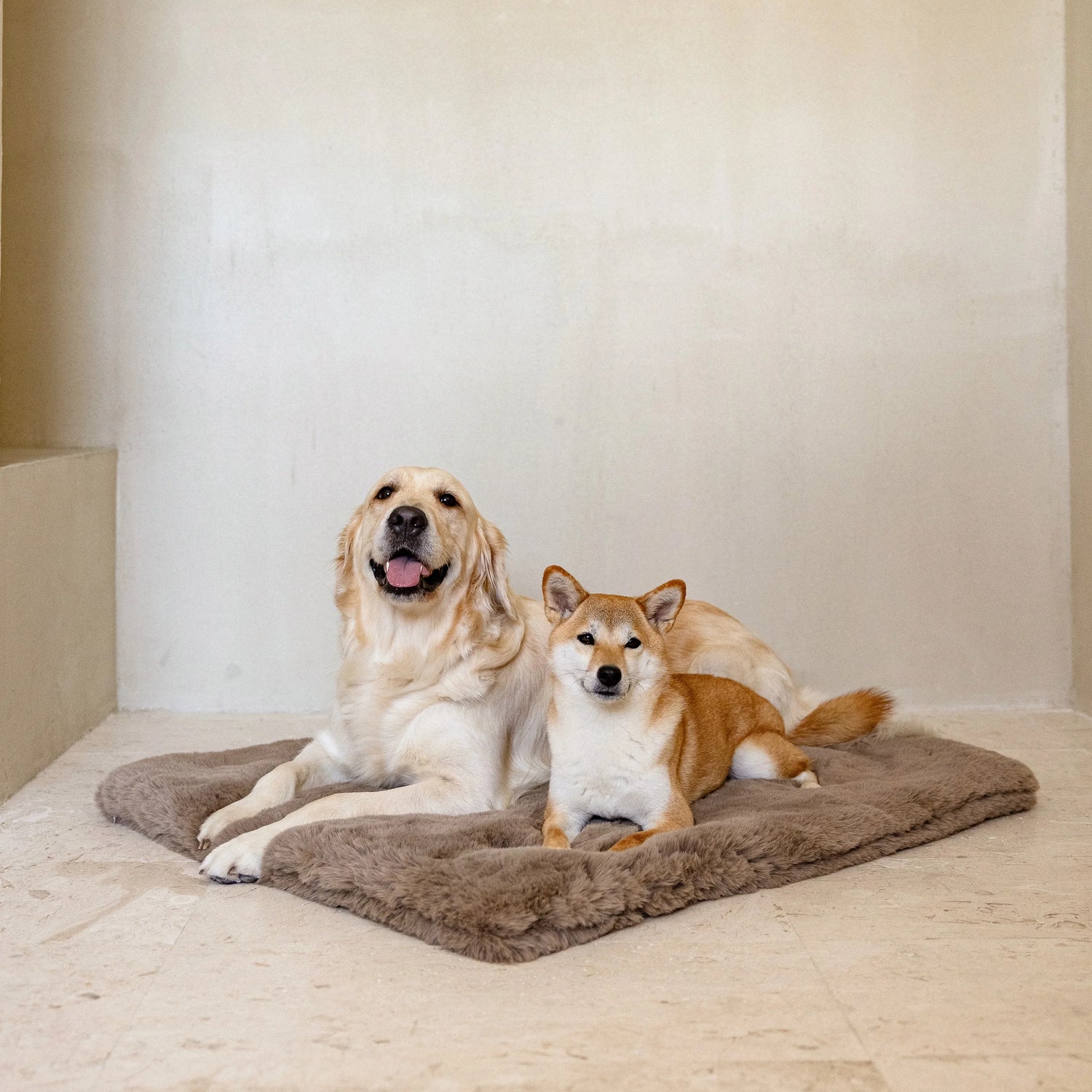 Pet Blankets