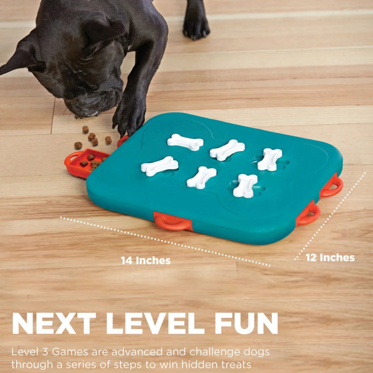 Pet Games