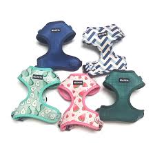 Pet Harness