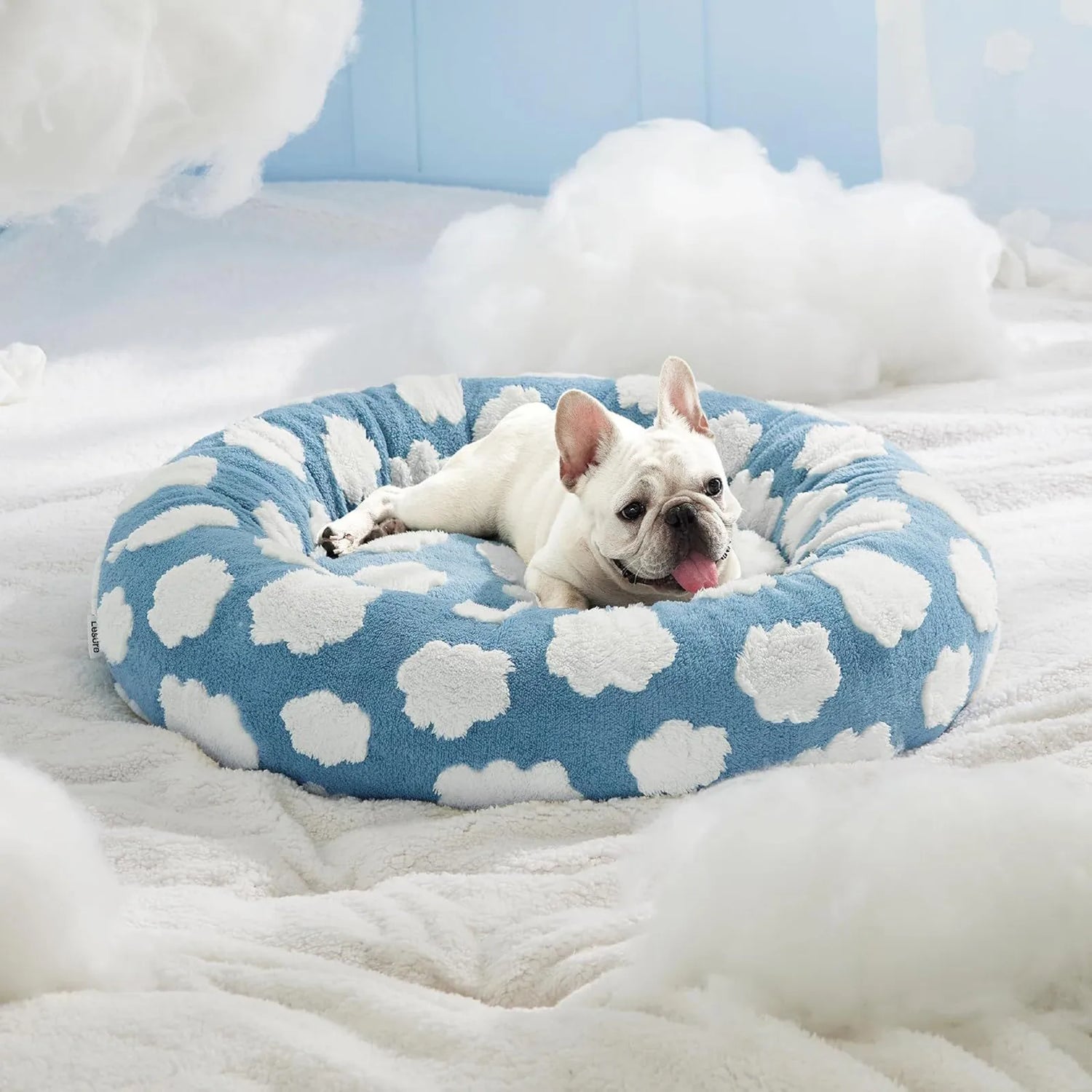 Pet Beds