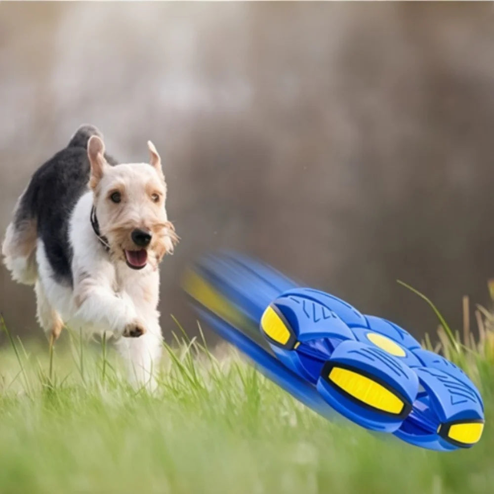 Transform UFO Ball Dog Toy: Chew-Resistant & Stompable Flying Saucer - Bouncing, Shape-Shifting Fetch Toy for Night Play
