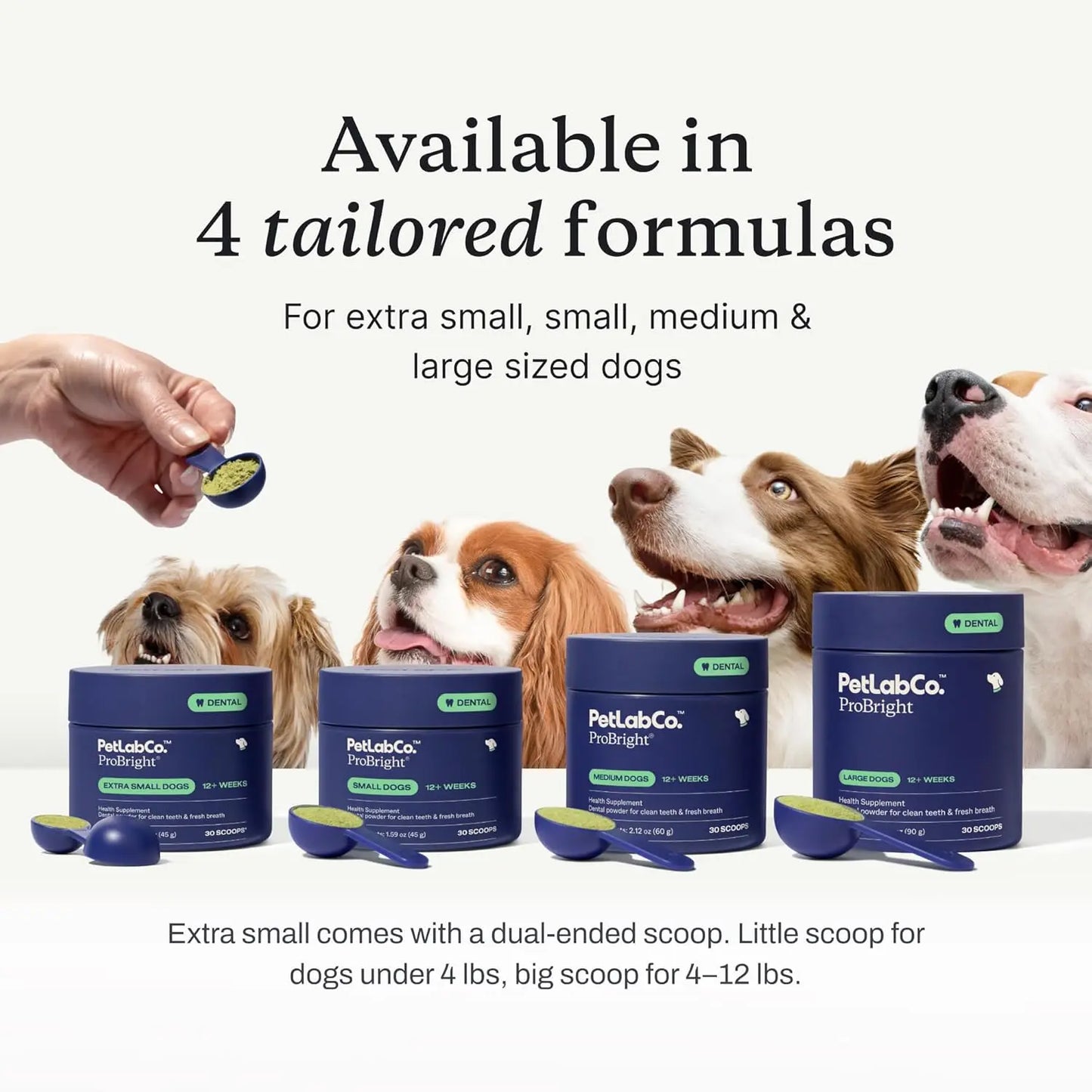 Dental Powder & Probiotics for Small Dogs: Effortless Clean, Gut Health, Allergy Support in 1 Scoop
