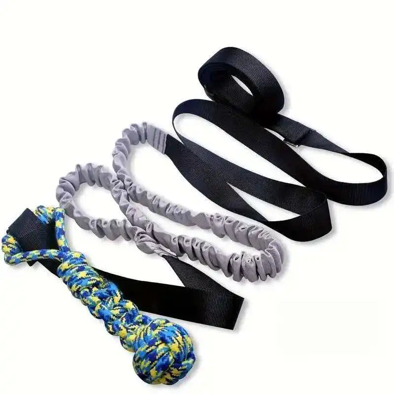 Outdoor Bungee Tug Toy, Dog Toy Hanging from Tree for Small to Large Dogs, Interactive Exercise Play Cord & Tether with Chew Rop
