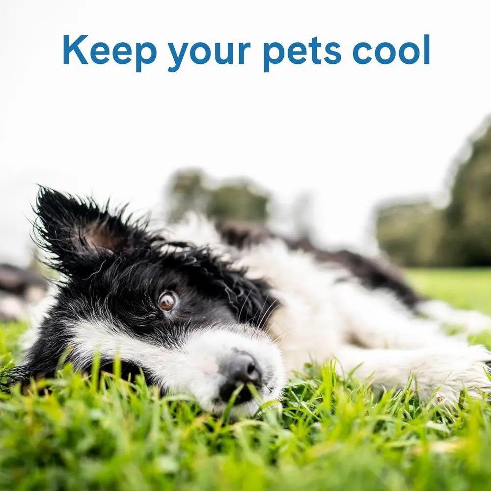Cool Pet Pad - Extra Large, Latte- Sel-Cooling, Prure ted Mat or Dogs & Cats rom 80+ lbs - Non-Toxic Gel, No Water Needed