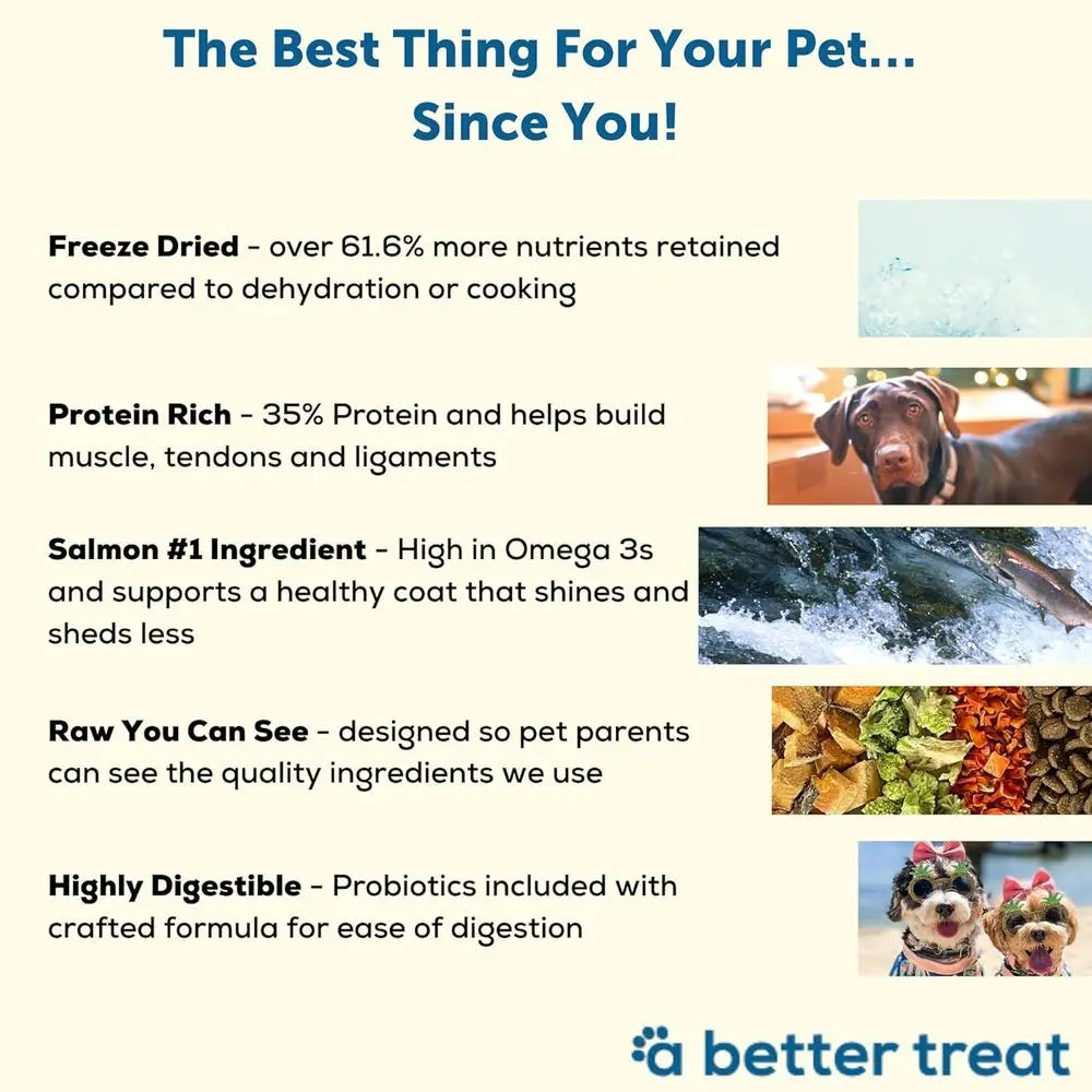 A Better Dog ood | Salmon Dry Dog ood | You Can See | High Protein Kibble + reeze Dried Dog ood