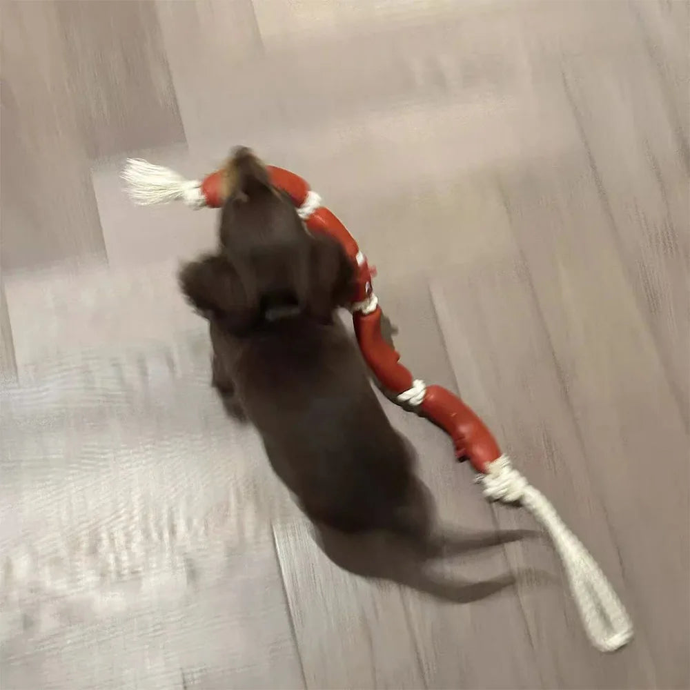 Dogs Pet Sausage Toy Interactive Training Pull Cotton Rope Cotton Rope Resistant Bite Grinding Interactive Funny Pet Supplies