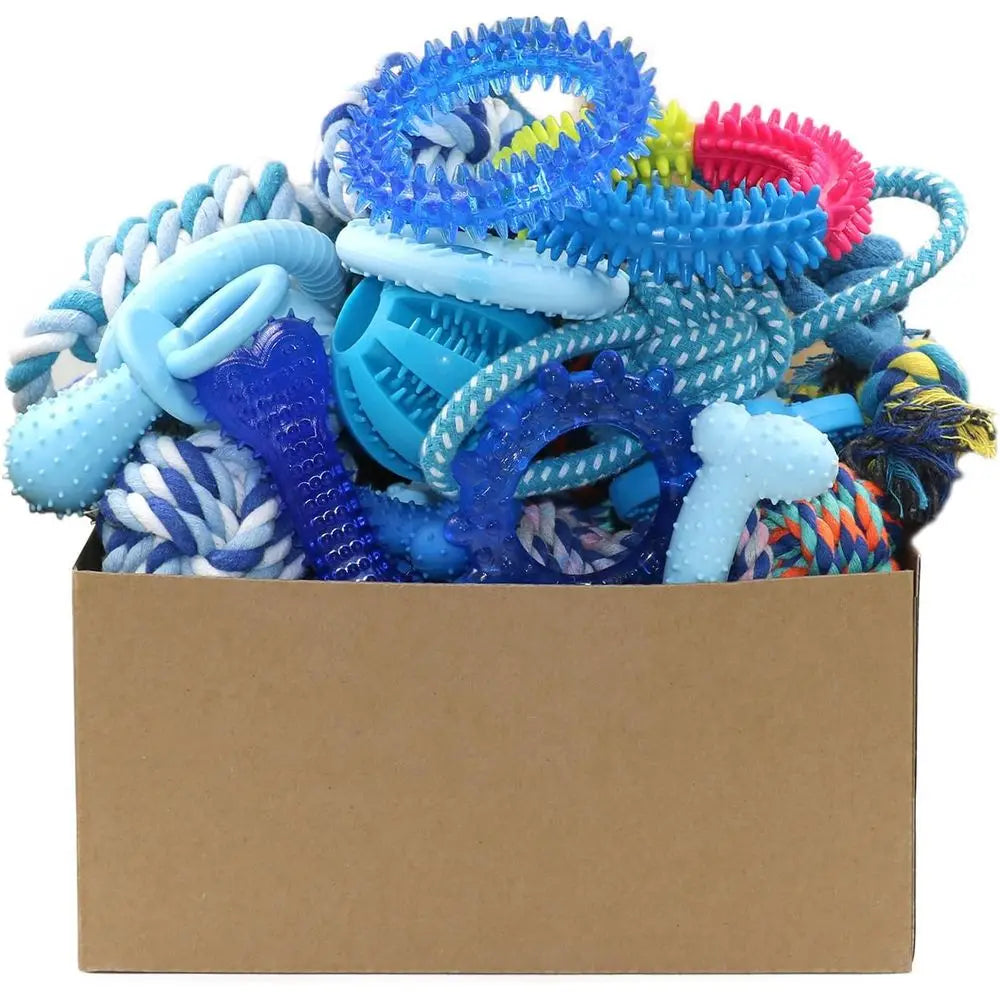 20 Pack Puppy Chew Toys - Blue Dog Teething Toys for Puppies, Teething Rings and Ropes, Rubber Toy Bundle for Small Dogs, Cute I