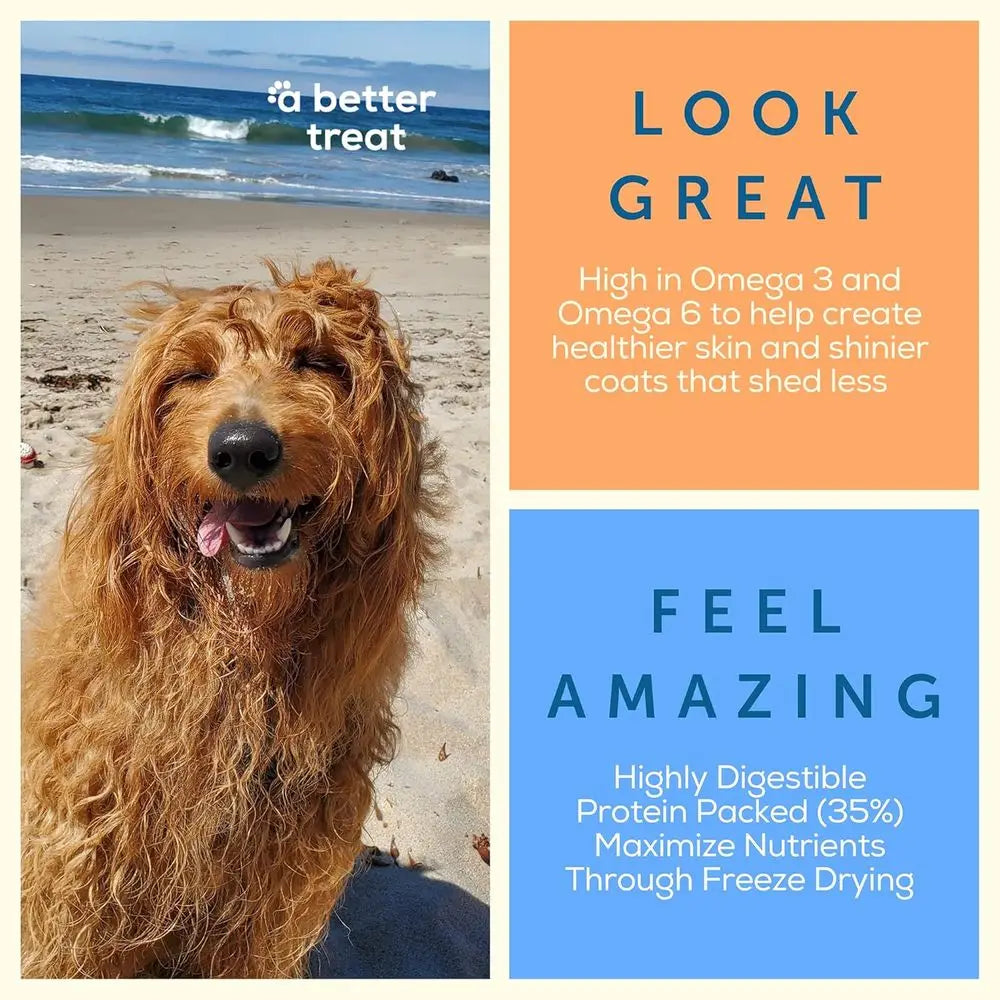 A Better Dog ood | Salmon Dry Dog ood | You Can See | High Protein Kibble + reeze Dried Dog ood