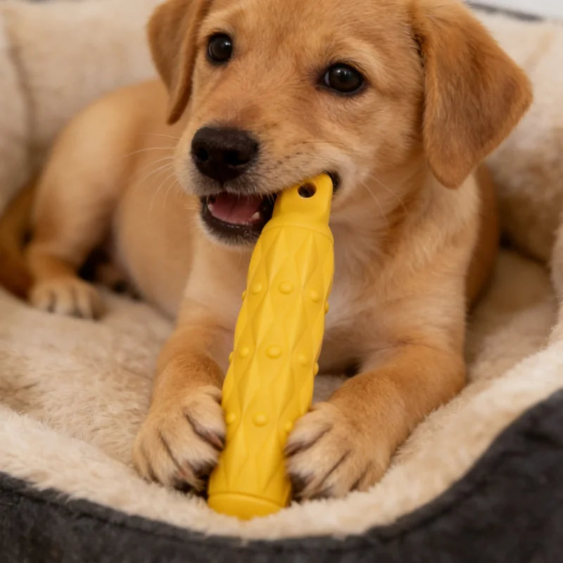 Dogs Eva Biting Stick No Rope Colors Tooth Chew Toy Indestructible Pet Supplies Large Safe Joint Dog Tough Play Toys Resistant