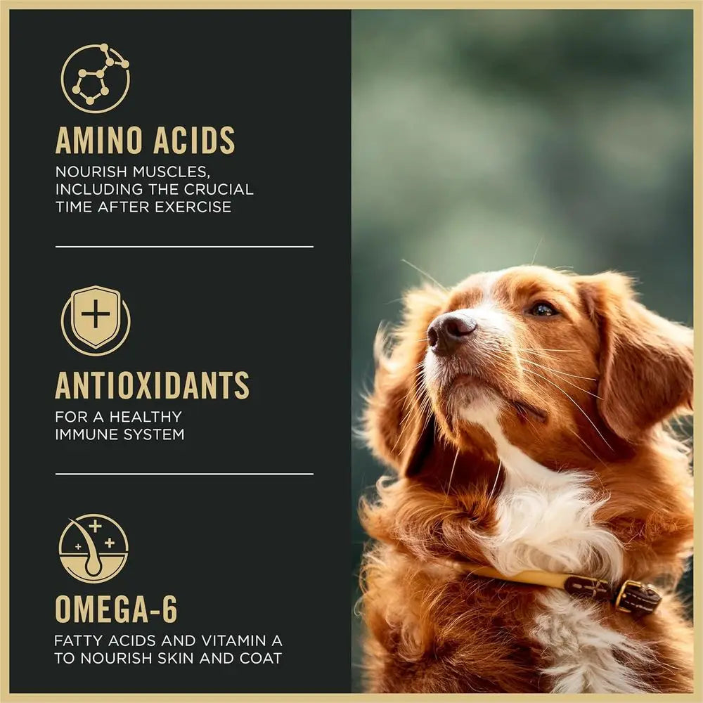 Active, High Protein Dog ood, SPORT 27/17 Chicken and Rice ormula - 37.5 lb. Bag