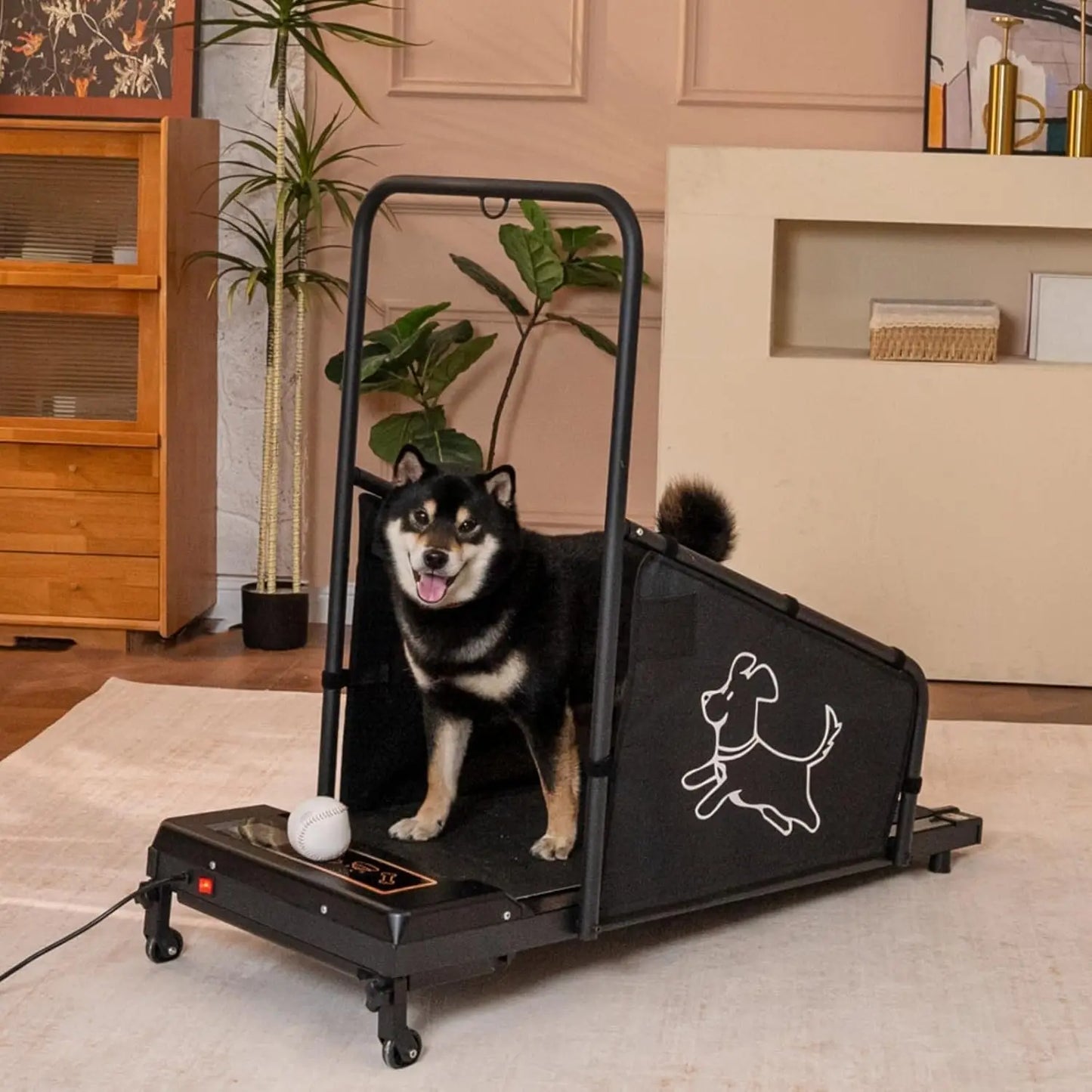 Modern Pet Dog Treadmill Smooth Running Track Medium Dogs Daily Run Walk Healthy Fitness Training, Custom