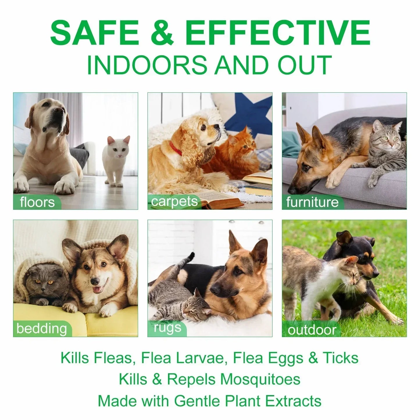 100ml Natural Pet Care Topical Flea&Tick Spray Remover for Dogs&Cats with Fresh Fragrance Peppermint Oil and Eugenol
