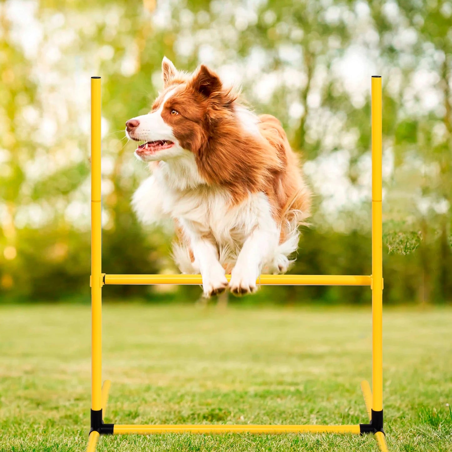Dog Agility Course Backyard Set Dog Training Kit with 2 Tunnels, Hoop Jump, 2 Hurdle Jumps, 6 Weave Poles, Pause Box, Whistle