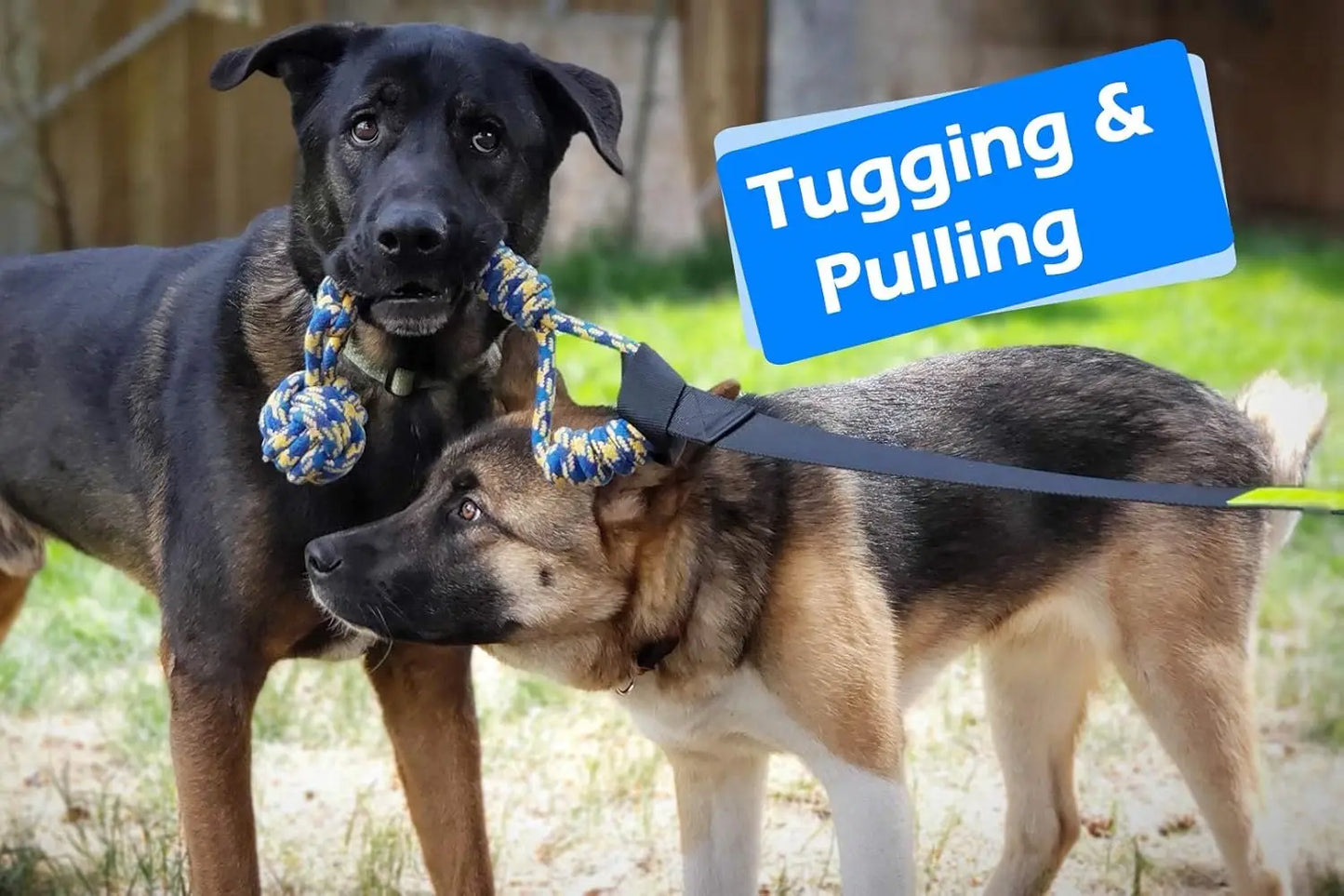 Outdoor Bungee Tug Toy, Dog Toy Hanging from Tree for Small to Large Dogs, Interactive Exercise Play Cord & Tether with Chew Rop