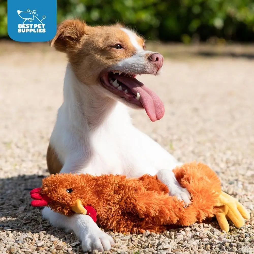 Interactive Squeaky Dog Chew Toy, Ideal for Small, Medium & Large Dogs, and Pet Lovers - Crinkle Chicken (Brown), Large