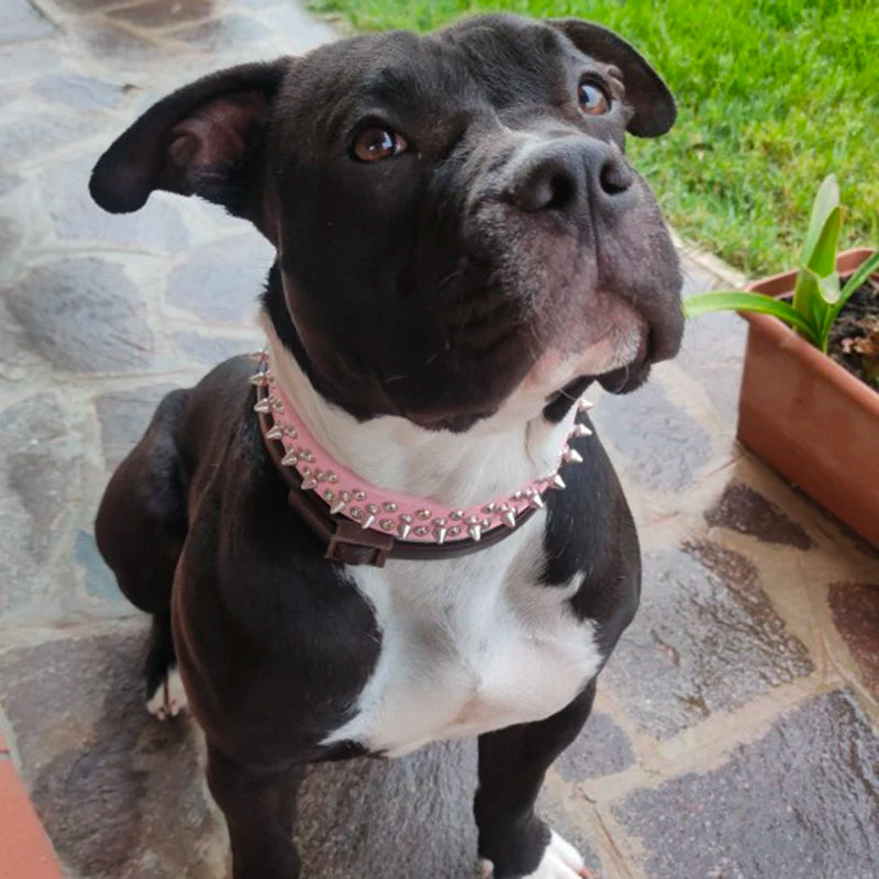 High Quality Dog Rivet Collar and Leash Set Anti Bite Pet Collars for Medium Large Dogs Bulldog Greyhound mascotas Accessories