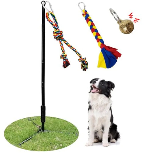 Outdoor Dog ToyInteractive Exercise Game in Yard Park Tug of War for Large Medium Small Dog Puppy with 2 Rope Toy and Be