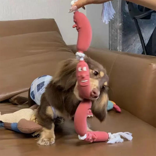 Dogs Pet Sausage Toy Interactive Training Pull Cotton Rope Cotton Rope Resistant Bite Grinding Interactive Funny Pet Supplies
