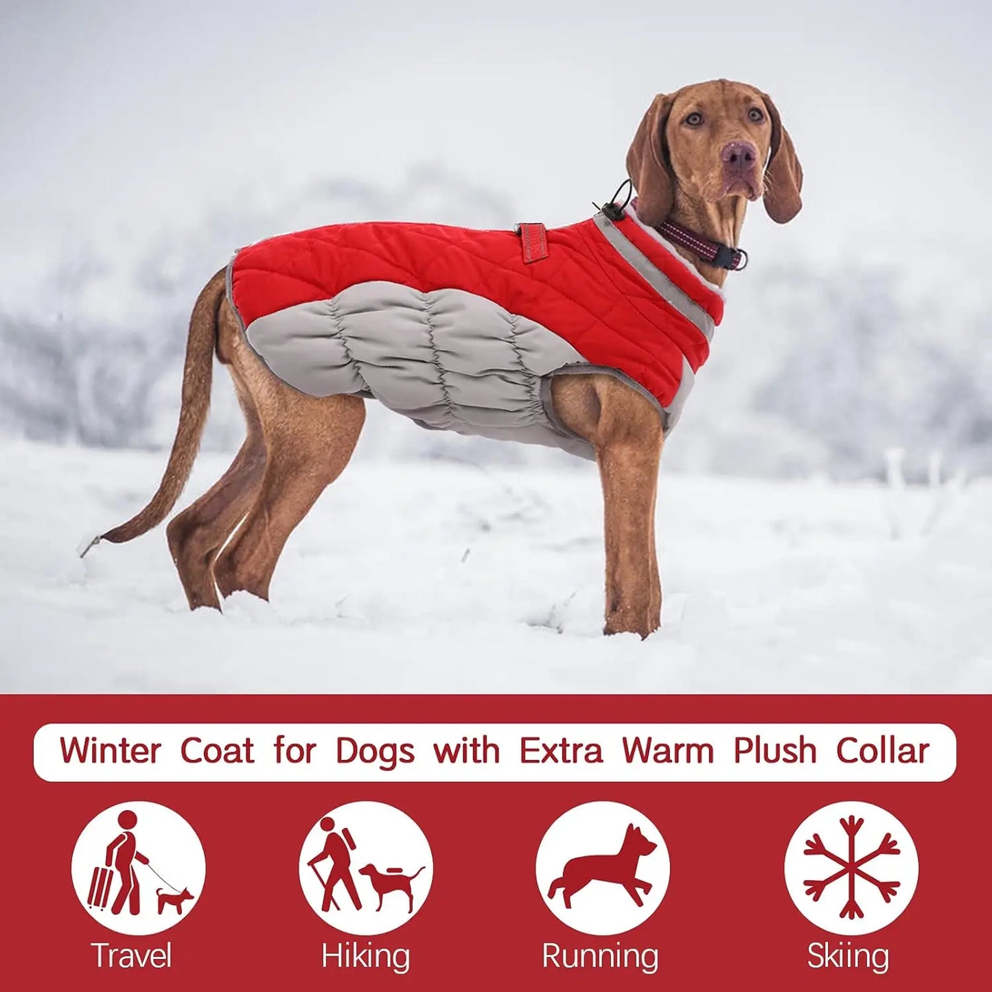 Waterproof Dog Winter Jacket with Built-in Harness, Reflective Vest for Small Dogs, Warm Fleece Snowsuit Windproof Red