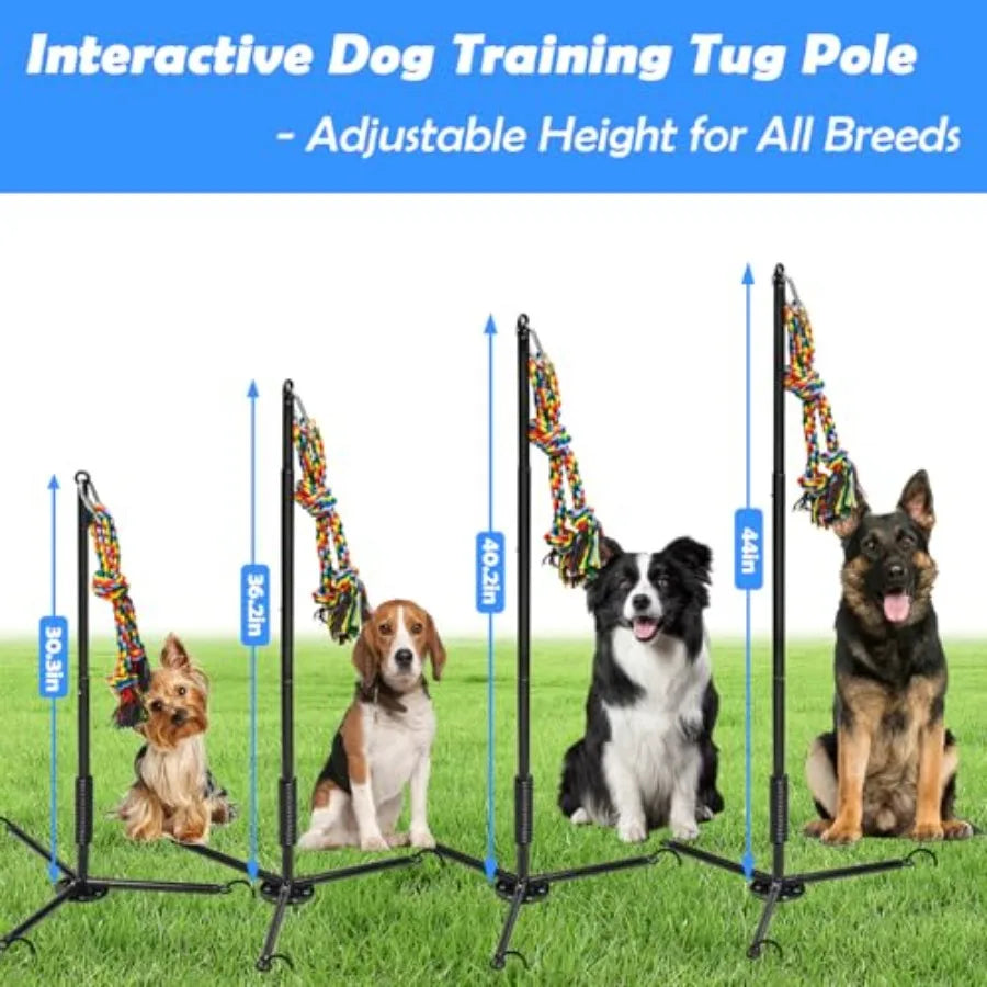 Outdoor Dog ToyInteractive Exercise Game in Yard Park Tug of War for Large Medium Small Dog Puppy with 2 Rope Toy and Be