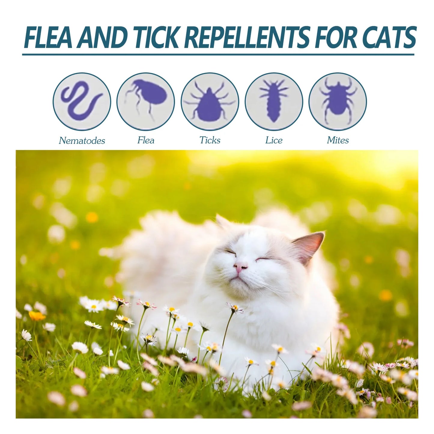 Pet Flea Tick Killer Drops for Dogs Cats - Safe Anti Lice Mite Remover, Relieve Itching & Ringworm Treatment Insect Drops