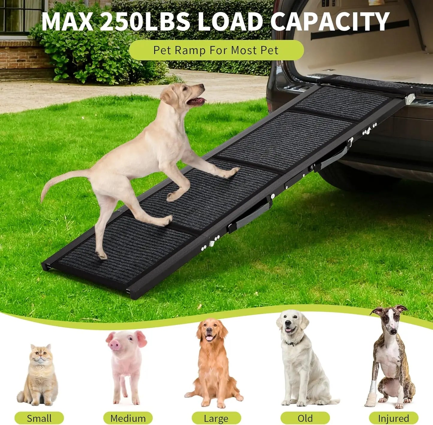 Dog Ramp for High Cars, Quad-Fold Non-Slip Ramp for Large Dogs & Seniors, Lightweight Portable Pet Ramp for SUV Truck Bed Couch