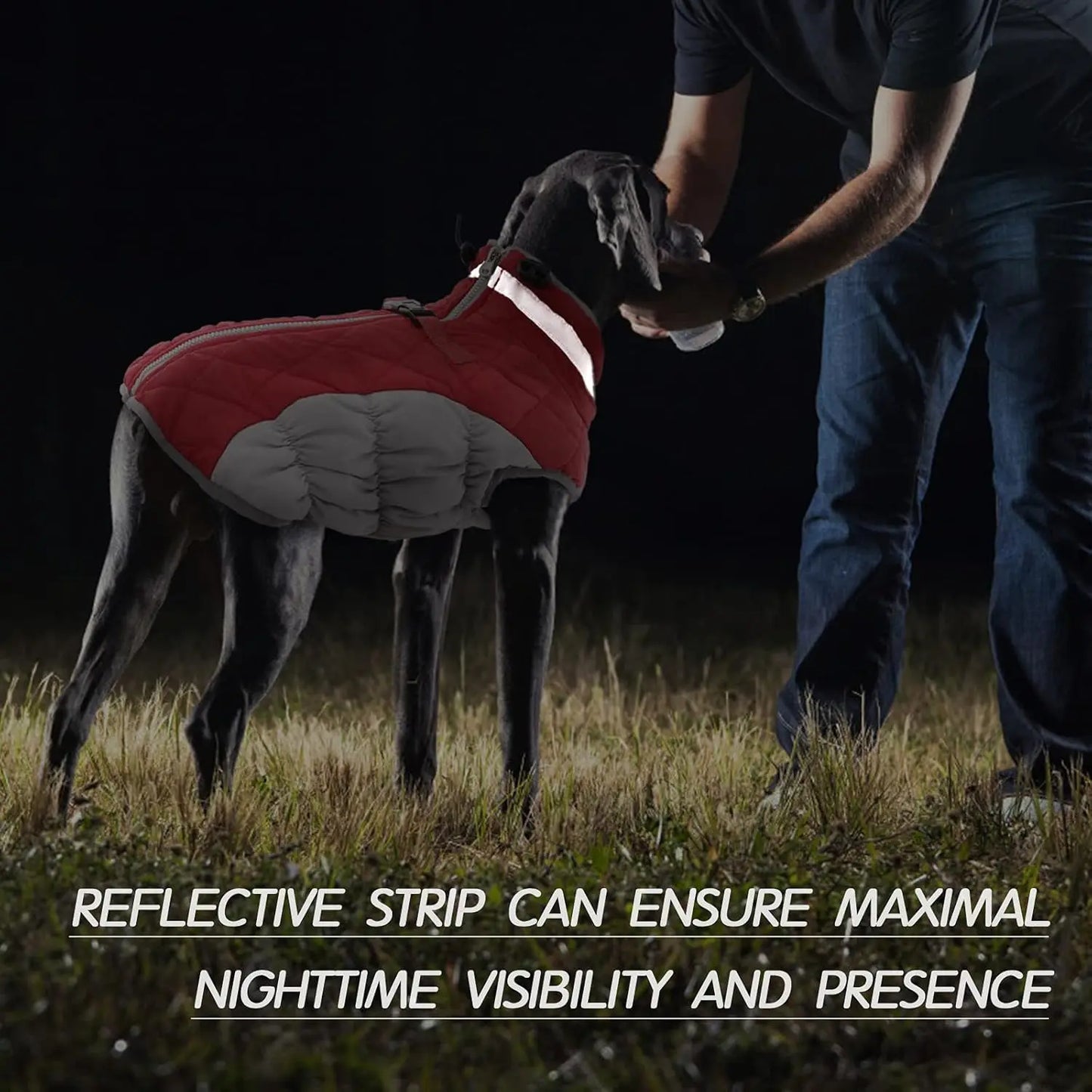 Waterproof Dog Winter Jacket with Built-in Harness, Reflective Vest for Small Dogs, Warm Fleece Snowsuit Windproof Red