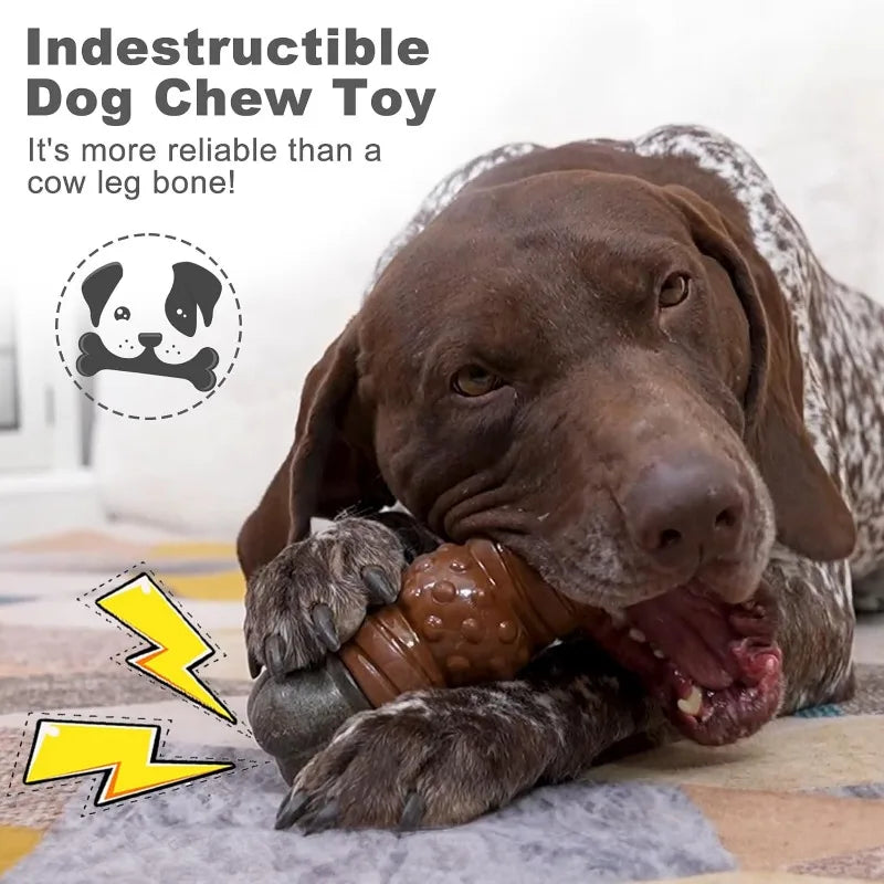 Dog Toys Squeaky Sounding Bones Grinding Teeth Cleaning Chew Toys Tough Nylon Rubber Medium Large Dogs Interactive Training