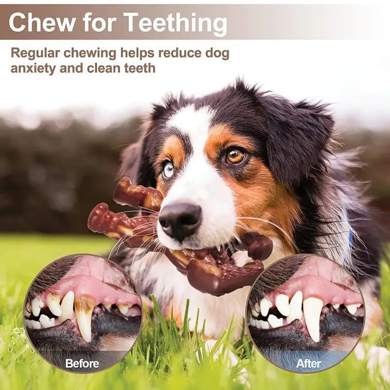 Dog Toys Teeth Grinding Toy Chewing Nylon Beef Flavor Toy Pressure Reducing Play Training Chewing Anti Anxiety Toy Pet Supplies