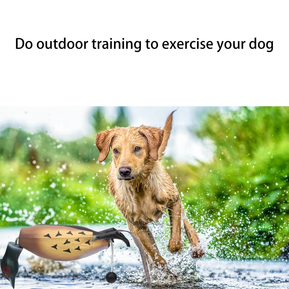 Pheasant Dummy Bumper Toy for Hunting Retriever Dog Training,Hunting Duck Recognition Trainers Pet Dog Interactive Training Toys