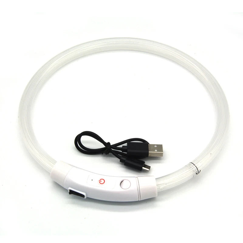 USB Rechargeable LED Fiber Optic Collar for Pets Luminous Anti-Lost Dog Accessory Outdoor Light Collar