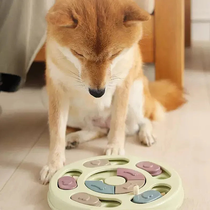 Funny Dog Cat Feeding Toy Puzzle Pet Toys for Small Dogs Cats Training Puppy Intelligence Quotient Slow Food Plate Accessories