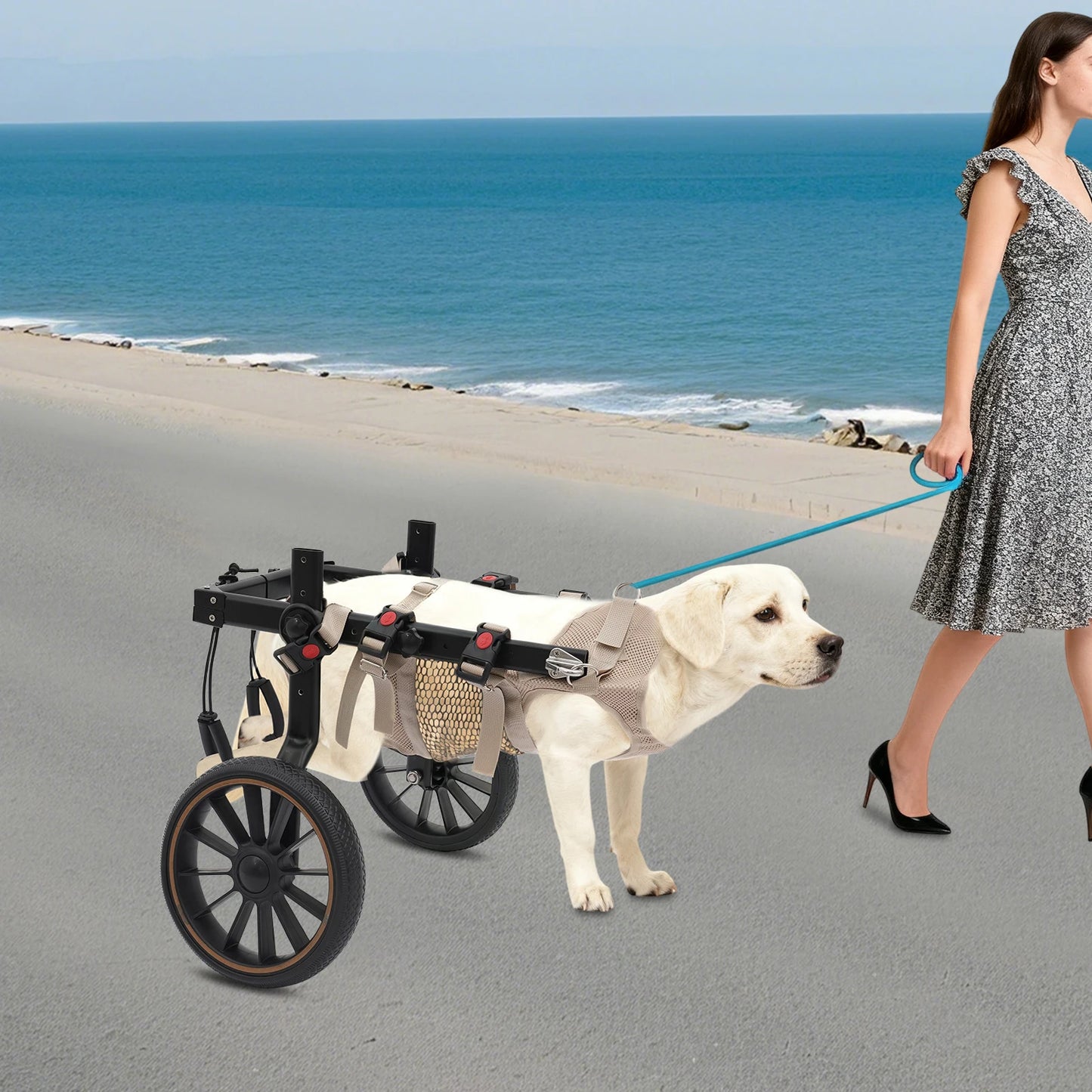 Pet Walking Aid Adjustable Dogs Wheelchairs 2-wheel Pet Rehabilitation Walking Aid Portable Walk Trolley Tools for Hind-Leg Support