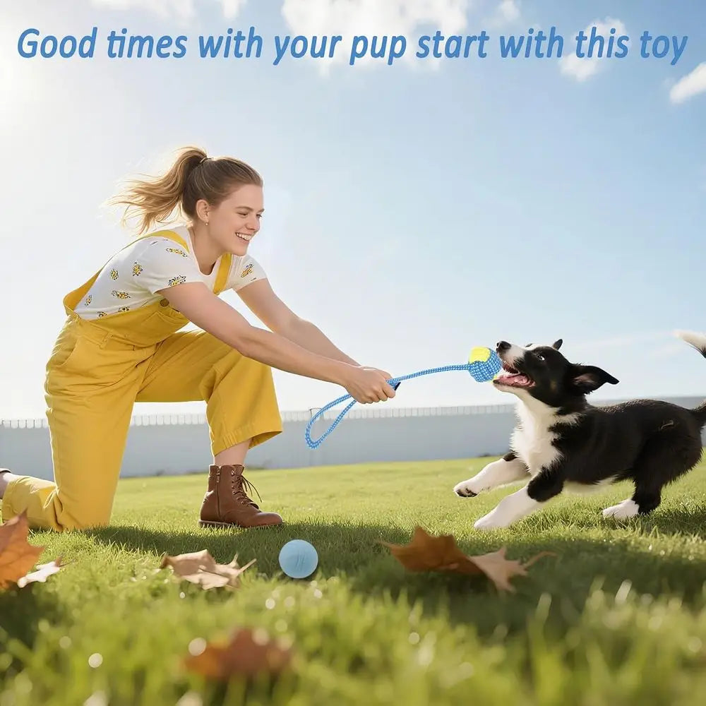 20 Pack Puppy Chew Toys - Blue Dog Teething Toys for Puppies, Teething Rings and Ropes, Rubber Toy Bundle for Small Dogs, Cute I