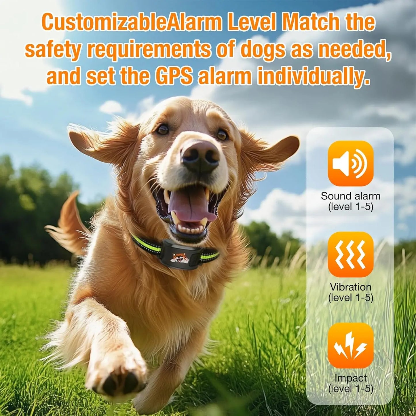 Outdoor Gps Wireless Dog Fence System App Geo Fence Bluetooth Training Collar Waterproof Rechargeable