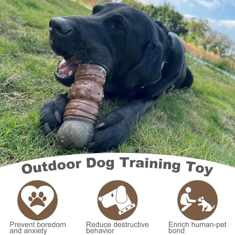 Dog Toys Squeaky Sounding Bones Grinding Teeth Cleaning Chew Toys Tough Nylon Rubber Medium Large Dogs Interactive Training