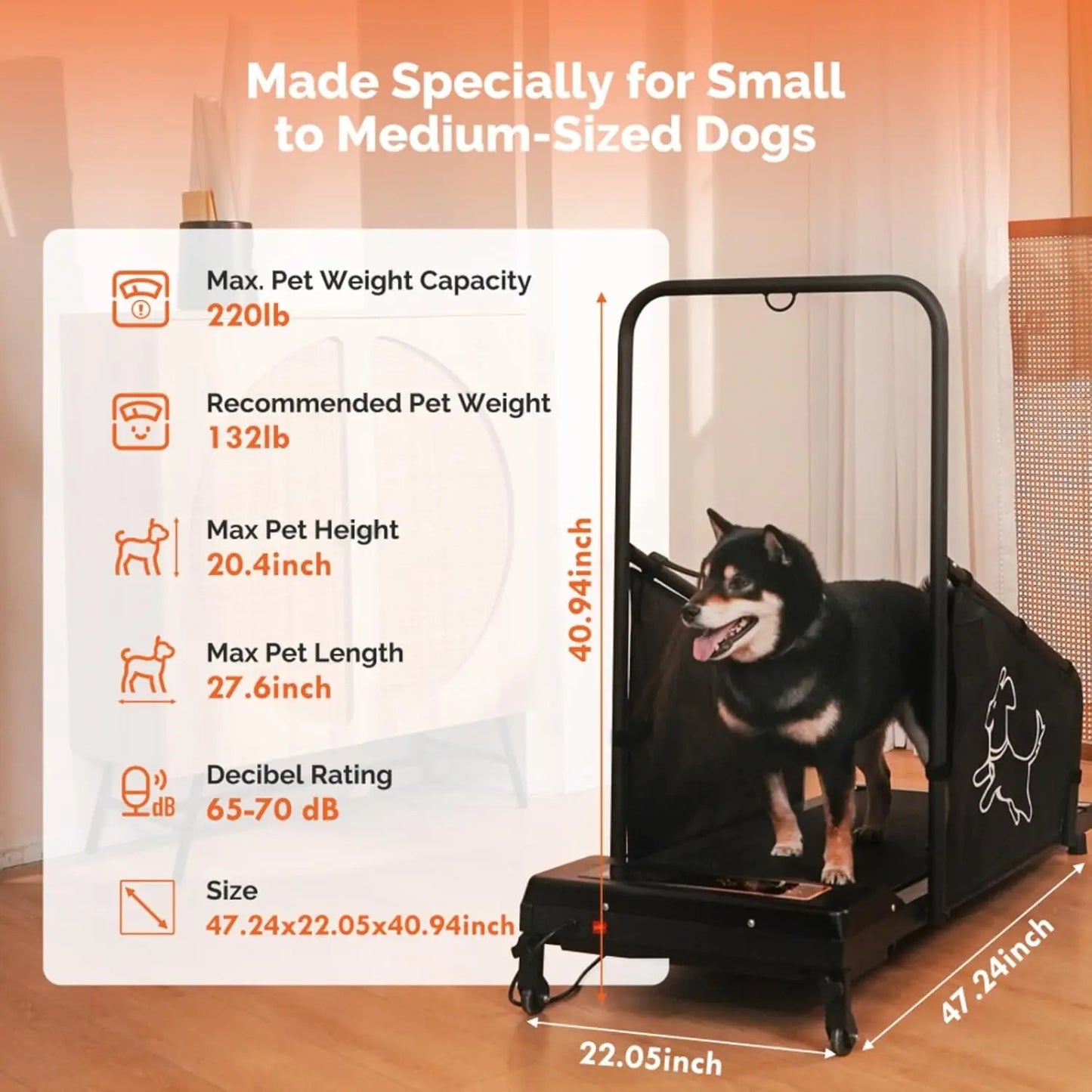 Modern Pet Dog Treadmill Smooth Running Track Medium Dogs Daily Run Walk Healthy Fitness Training, Custom