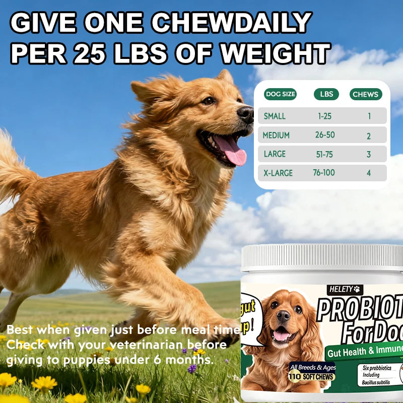 Probiotics for Dogs Digestive Health Soft Chews with Pumpkin & Fish Oil 120 Count Gut Health Itchy Relief Dog Probiotic Suppleme