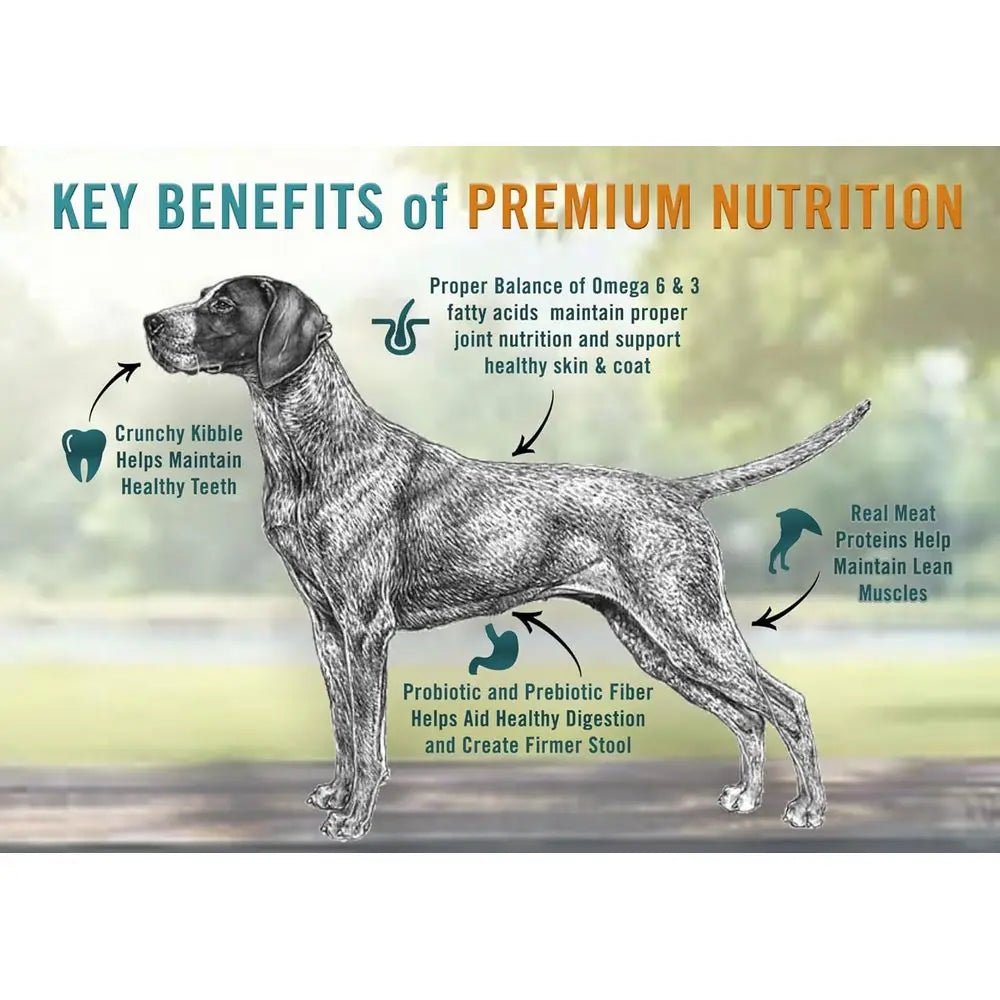 All Natural Premium Adult Dry Dog ood, Real Meat irst Ingredient, No by-Products, Supports Gut & Immune , Chicken, Turkey & Brow