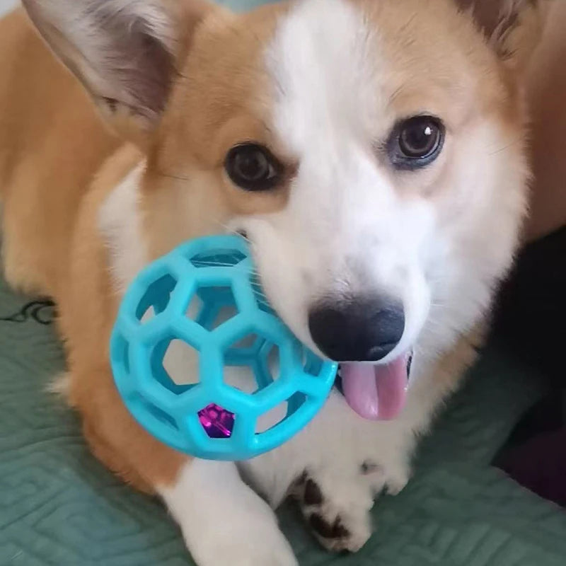 Pet Dog Hollow Ball Toy With Bell Natural Rubber Chew Toy Dog Interactive Balls Puppy Training Teeth Cleaning Hollow Toys Ball