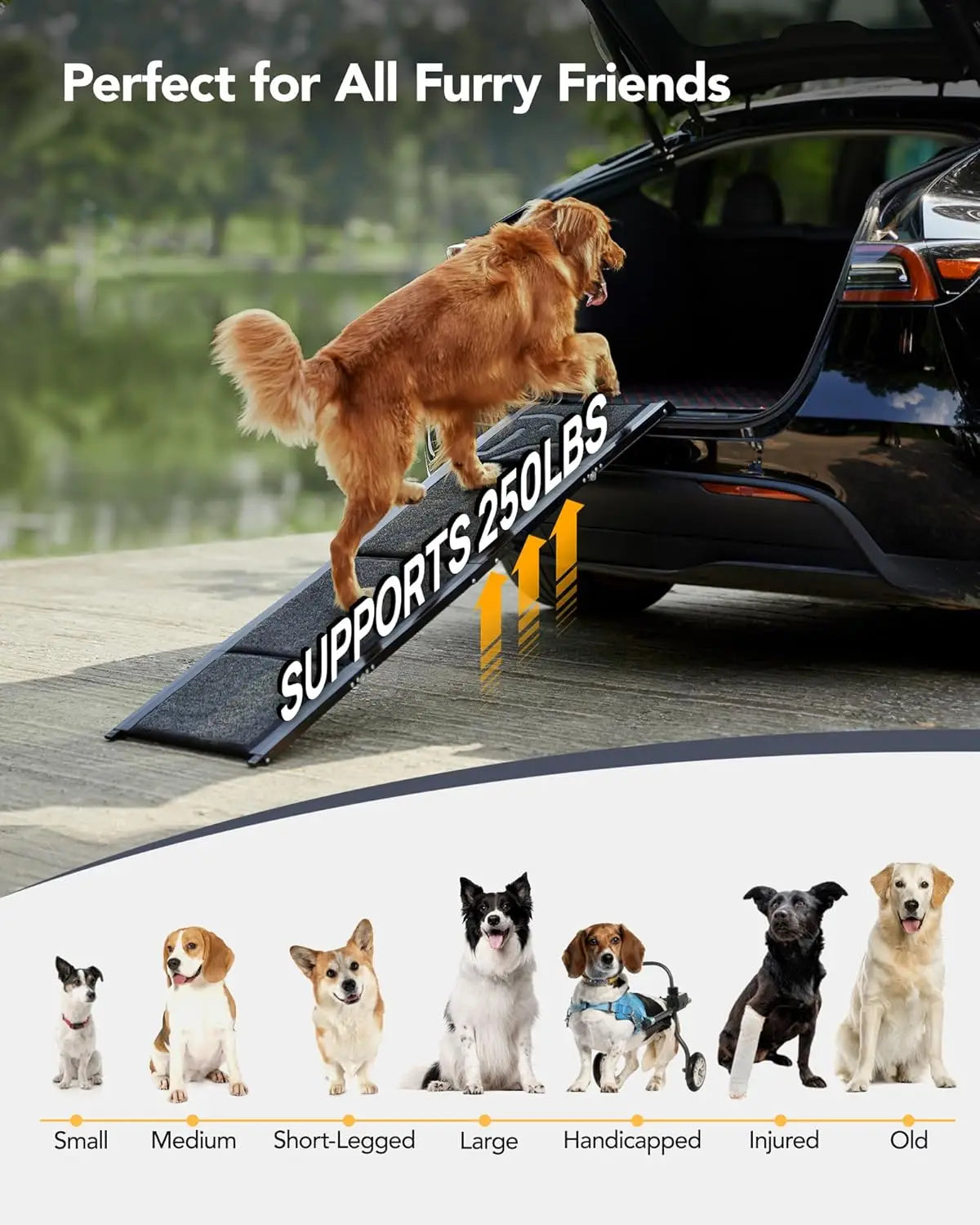 Upgraded Dog Ramp for Car 71'' X-Long & 19.7" Wider Folding Dog Ramps for Large Dogs with Non-Slip Rug Surface Portable Doggy