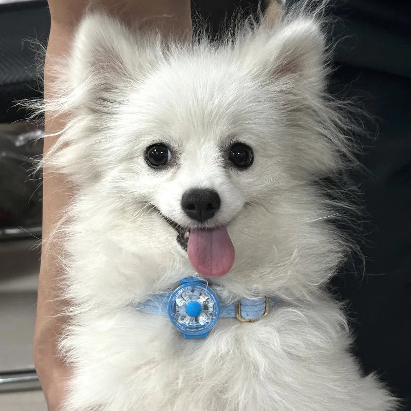 Dogs Collars Anti Loss Pendant Waterproof Safety LED Flashing Light USB Rechargeable LED Light Pendant For Dogs Cats Pets