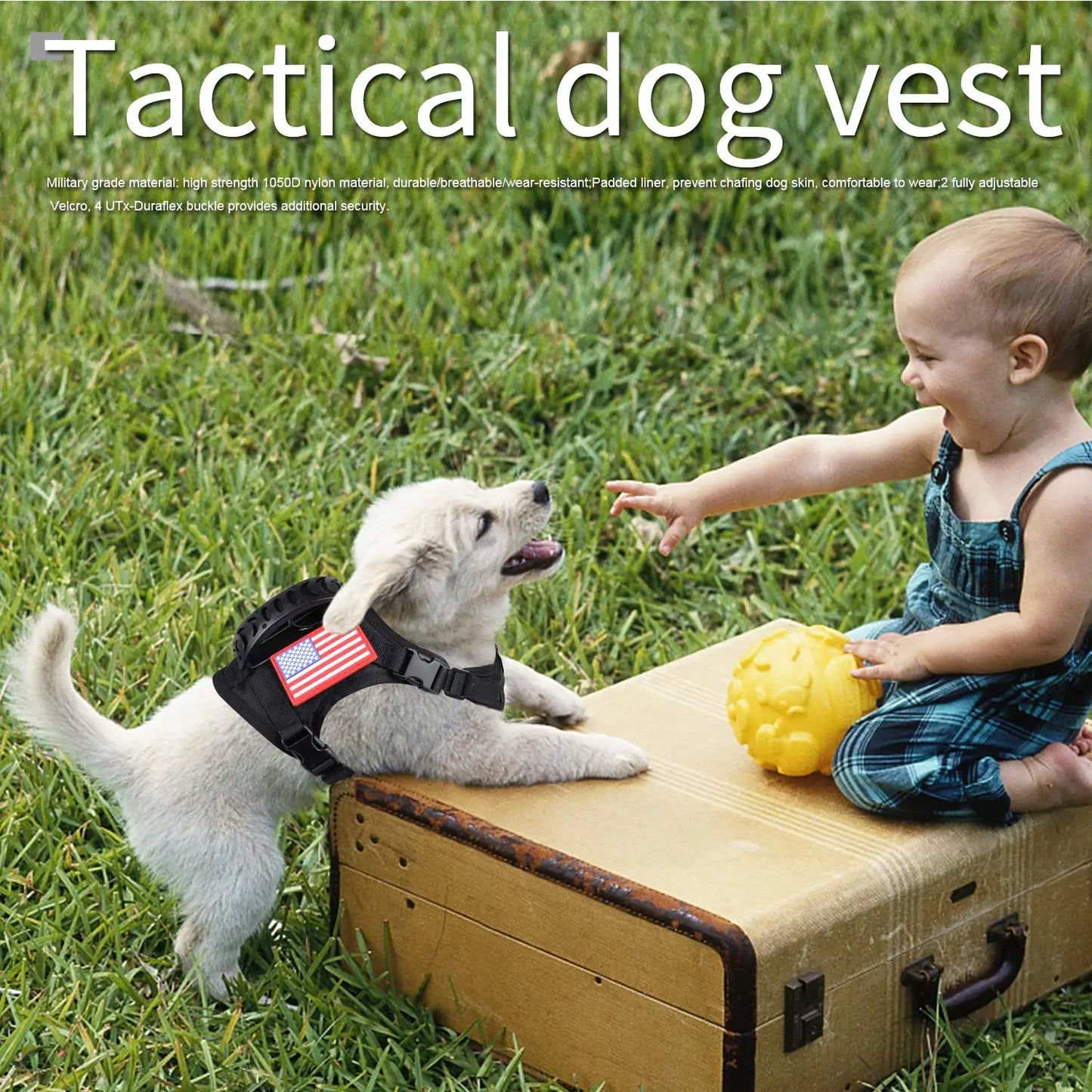Tactical Puppy Harness Leash Set For Small Dogs Adjustable Cat Harnesses Vest For Training Walking Military Cats Dog Accessories