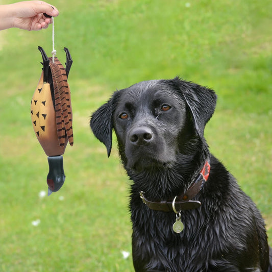 Pheasant Dummy Bumper Toy for Hunting Retriever Dog Training,Hunting Duck Recognition Trainers Pet Dog Interactive Training Toys