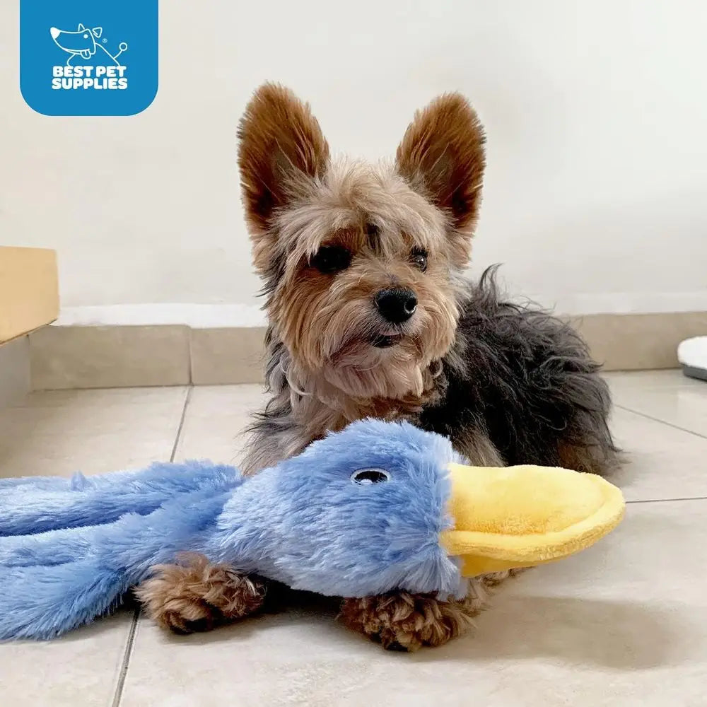 Pet Supplies Interactive Squeaky Dog Chew Toy, Ideal for Small, Medium & Large Dogs, and Pet Lovers - Crinkle Duck (Blue), Large