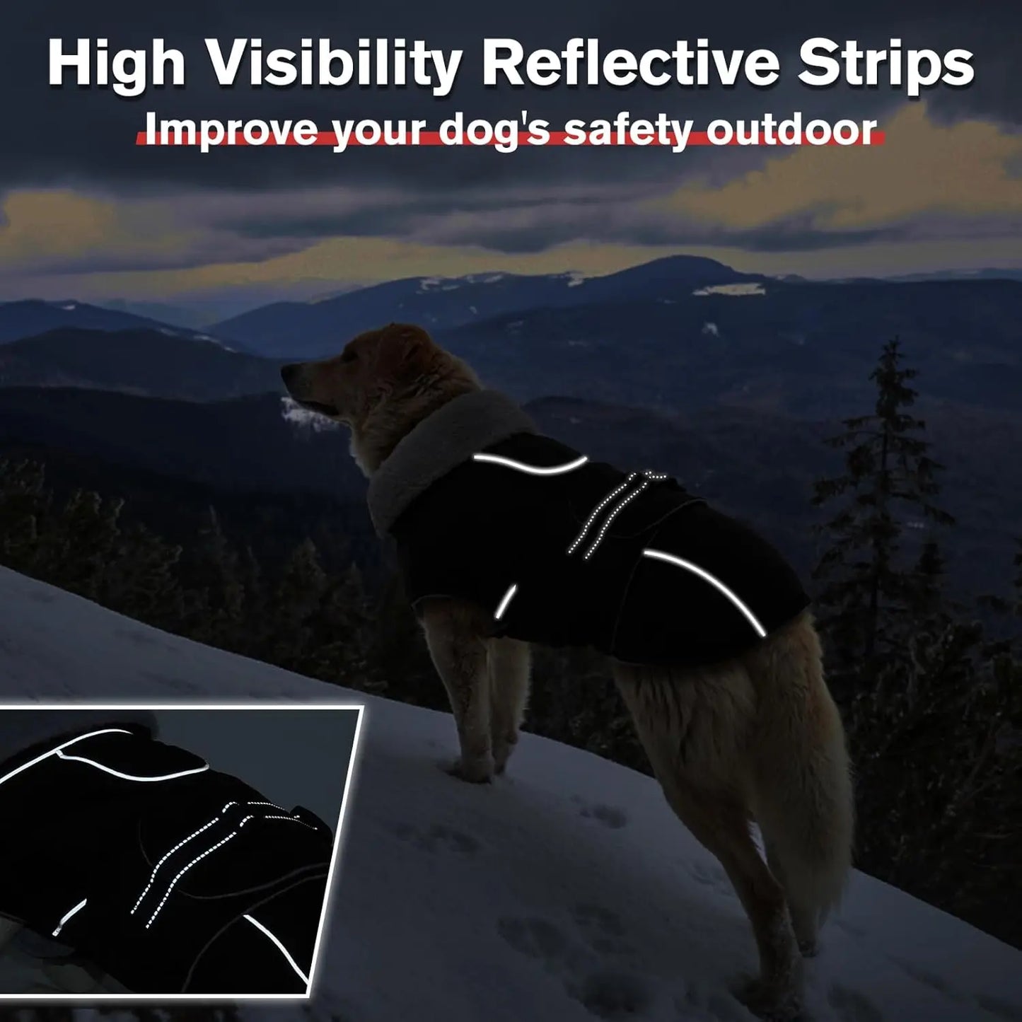 Reflective Waterproof Dog Jacket, Windproof Fleece Vest for Winter Cold Weather with Adjustable Buckle, Black Size M