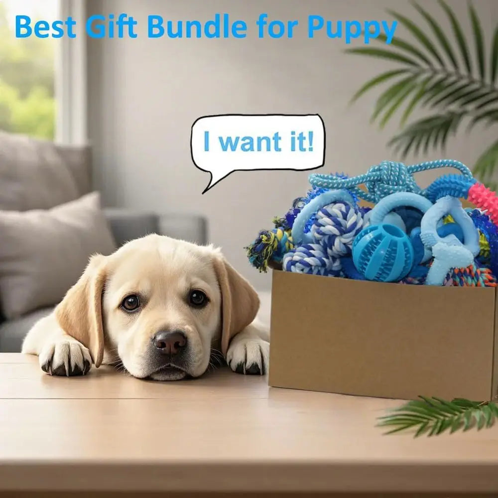20 Pack Puppy Chew Toys - Blue Dog Teething Toys for Puppies, Teething Rings and Ropes, Rubber Toy Bundle for Small Dogs, Cute I