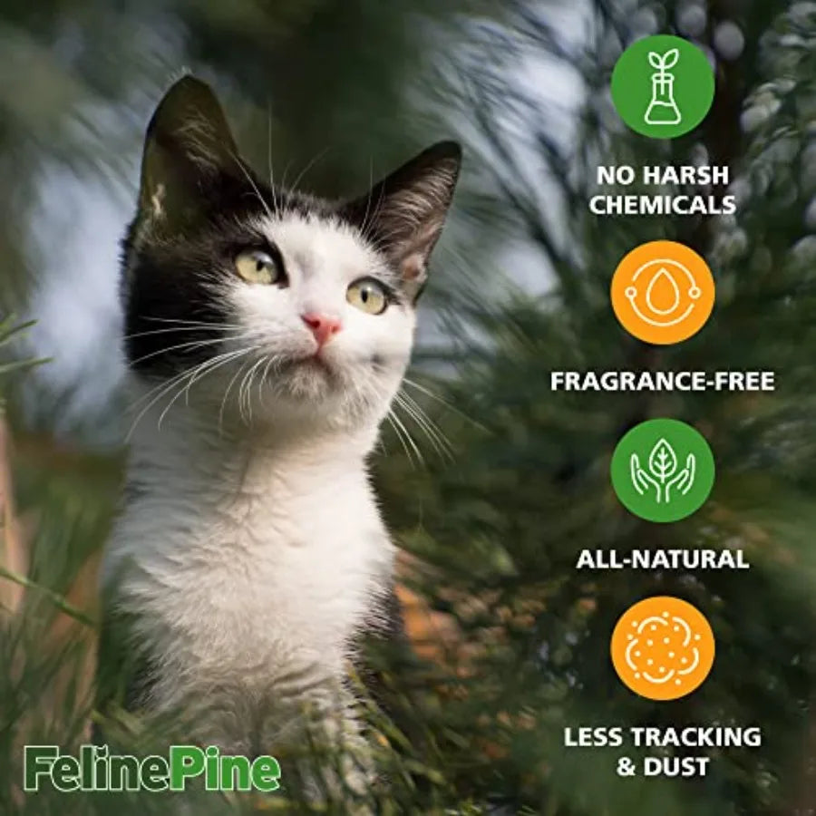 Feline Pine Platinum Non-Clumping Cat Litter 18lb Pack of 2 Natural Scented Premium Wood Pellets for Litter Boxes Light Gray Ab